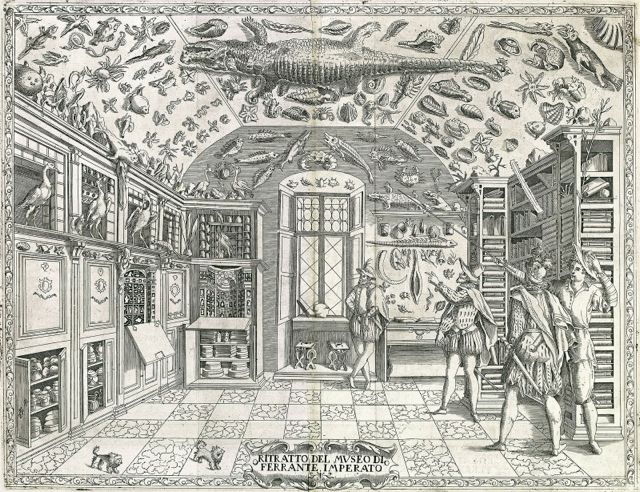 A cabinet of curiosities engraving from Ferrante Imperato's Dell'Historia Naturale (Naples, 1599) 