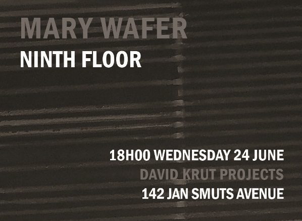 NINTH FLOOR: NEW WORKS BY MARY WAFER