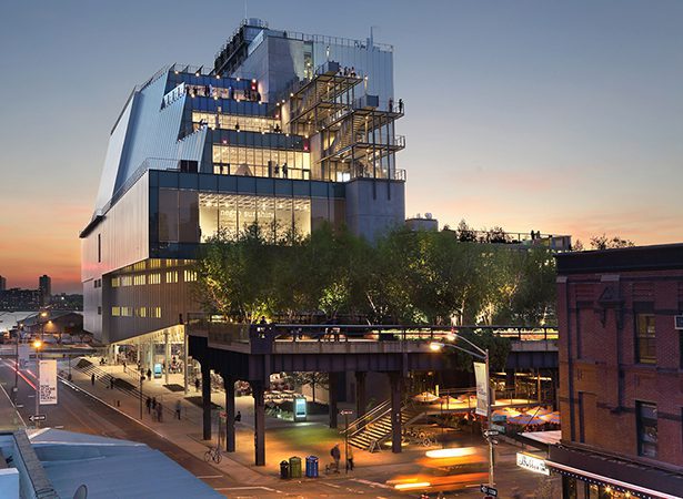 Whitney Museum of American Art is Seeking Assistant Curator