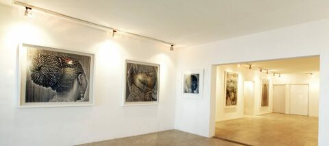 Omenka Gallery