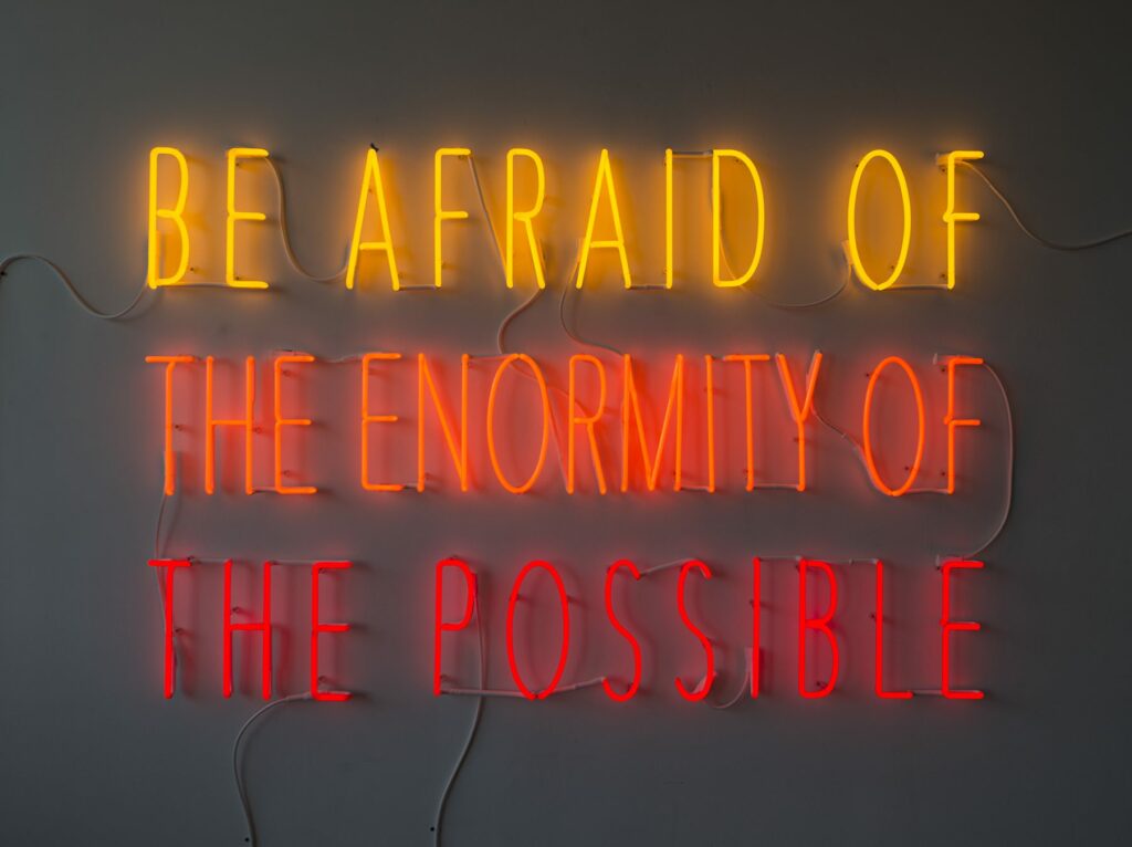 Alfredo Jaar, Be Afraid of the Enormity of the Possible, 2015 Neon, 120,6 x 182,9 cm / 47,5 x 72 inches, Edition of 3
