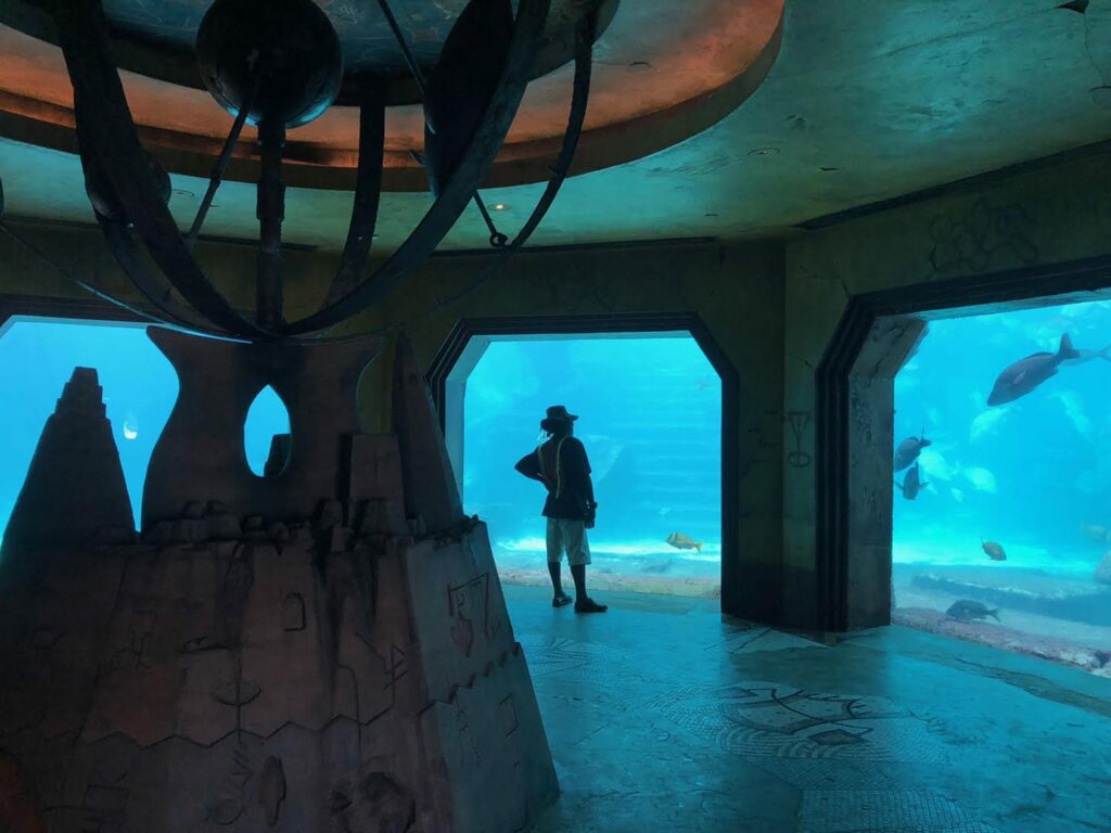 View of the Atlantis aquarium in Paradise Island. Photo: Maria Reyes Franco.