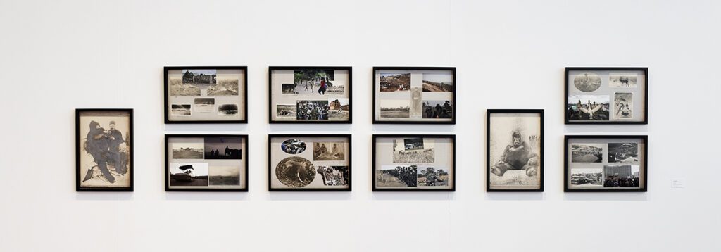 Hunting & Collecting, installation view, Mu.ZEE, Ostende, 2014 