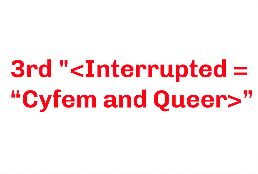 3nd “< Interrupted = “Cyfem and Queer >” in Berin