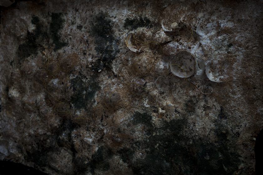 Em’kal Eyongakpa, untitled 11, ok-ko, 2018. Mycelium culture, pigments, coconut shells, plant fibre, electric wires. c.110 x 150 x 5cm. Studio view, Mbi-Avareh E.E.E. farms. Courtesy of the artist, ɛfúkúyú, Bɔ́ Bɛtɔk