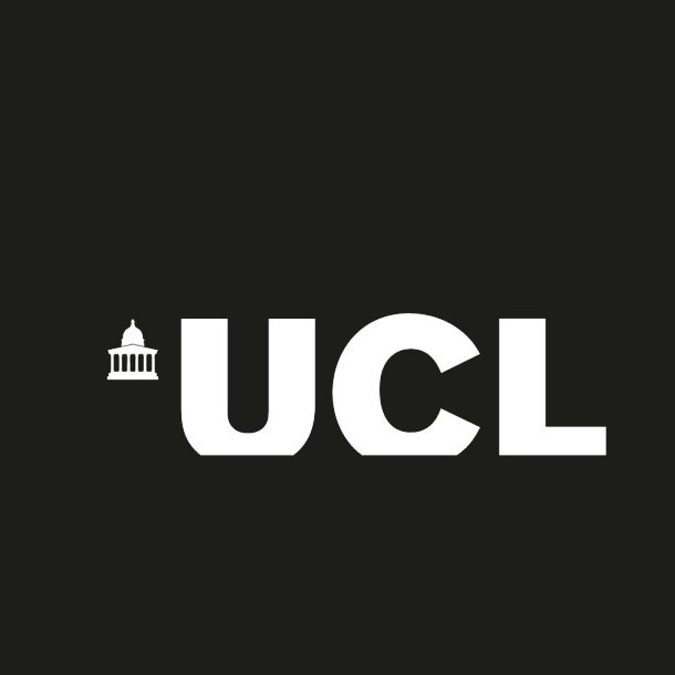 Lecturer, Art and Visual Cultures of the Global South – UCL
