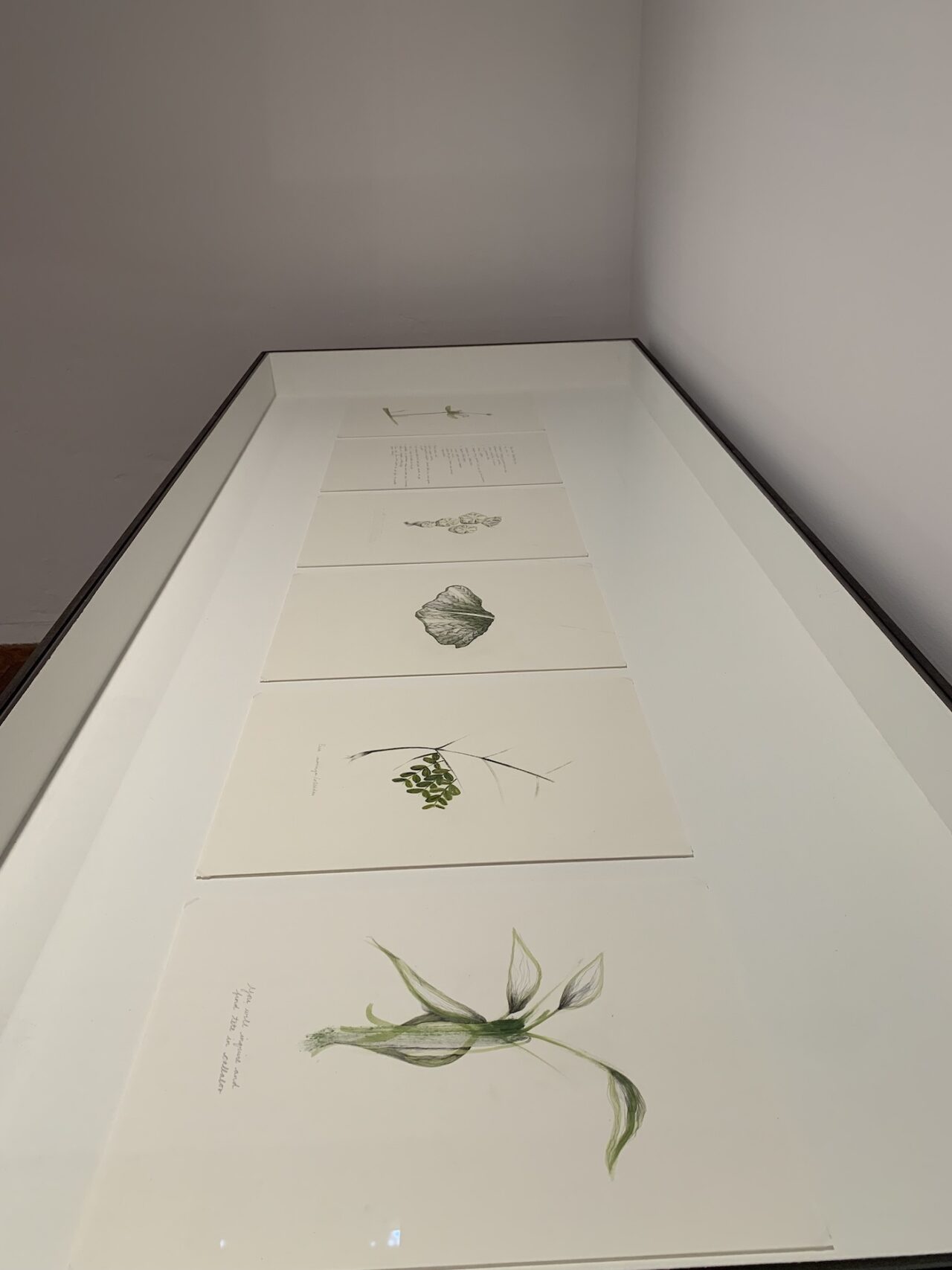 Temitayo Ogunbiyi, You will order taxonomies according to your day, 2021-2022. Installation View at 12th Berlin Biennale, Akademie der Künste, Hanseatenweg. Photo: C&