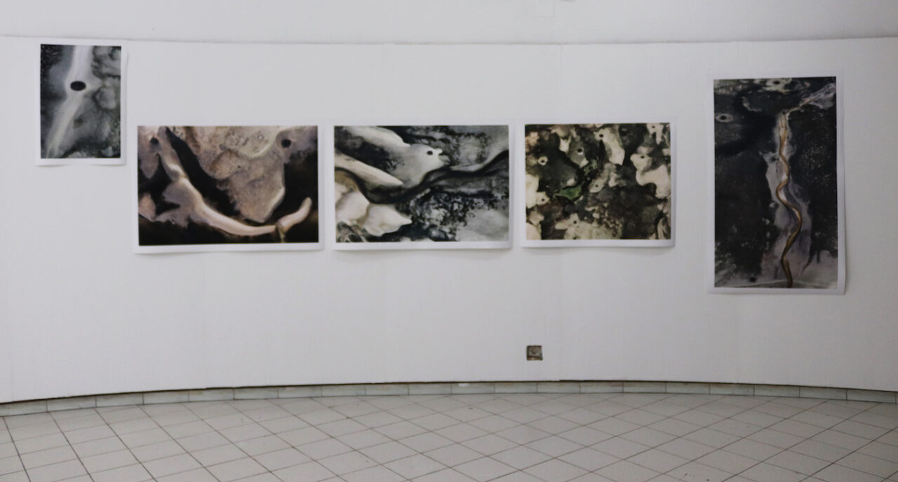 Installation shot of Bahia, 2020, Inkjet colour prints by Uiler Costa-Santos. Photo by Annie-Marie Akussah