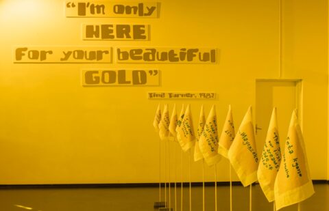 Keleketla! Library, The Allure of Gold and Other Solidarity Stories, 2018. Installation view as part of Keleketla! Library, 10. Berlin Biennale, HAU Hebbel am Ufer (HAU2), Berlin. Photo by Timo Ohler. Courtesy the artists.