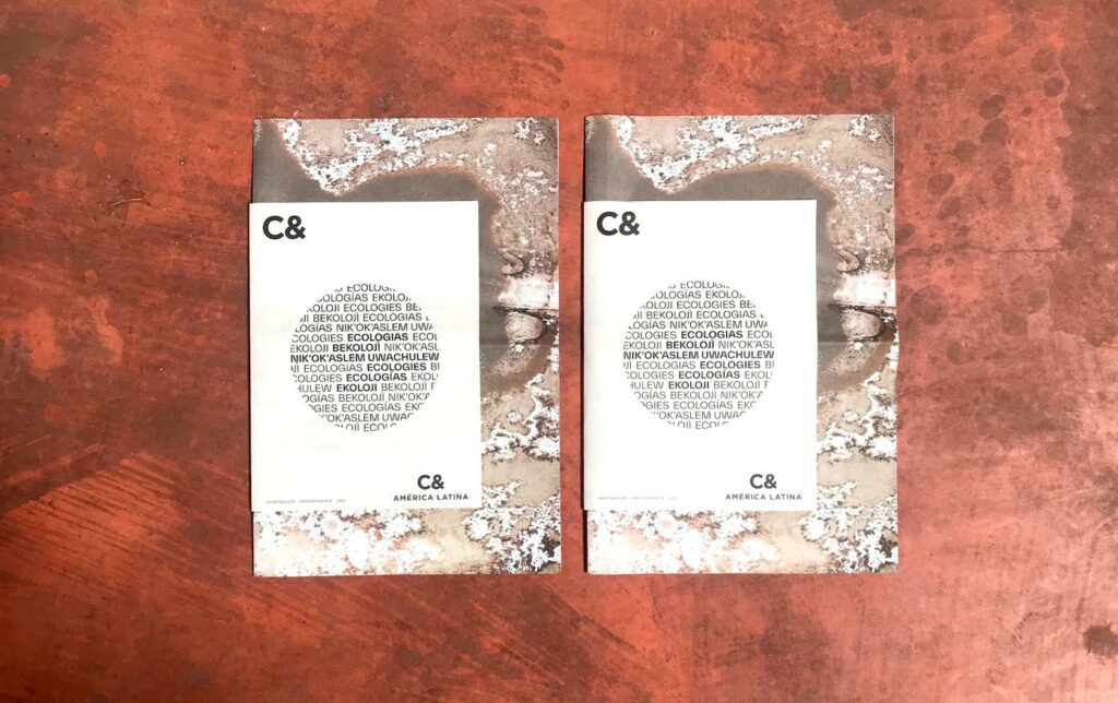 C& and C&AL Print Issue #12/4: Ecologies