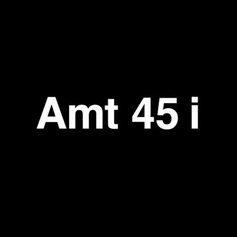 Amt 45 i: Talks