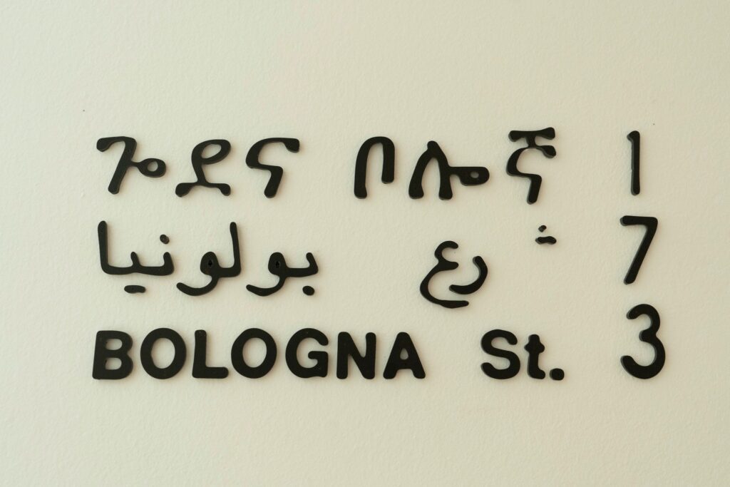 Muna Mussie, Bologna St.173, Un viaggio a ritroso. Congressi e Festival Eritrei a Bologna at MAMbo, Project Room, Bologna, Italy, 02 Jun 2023 - 10 Sep 2023.