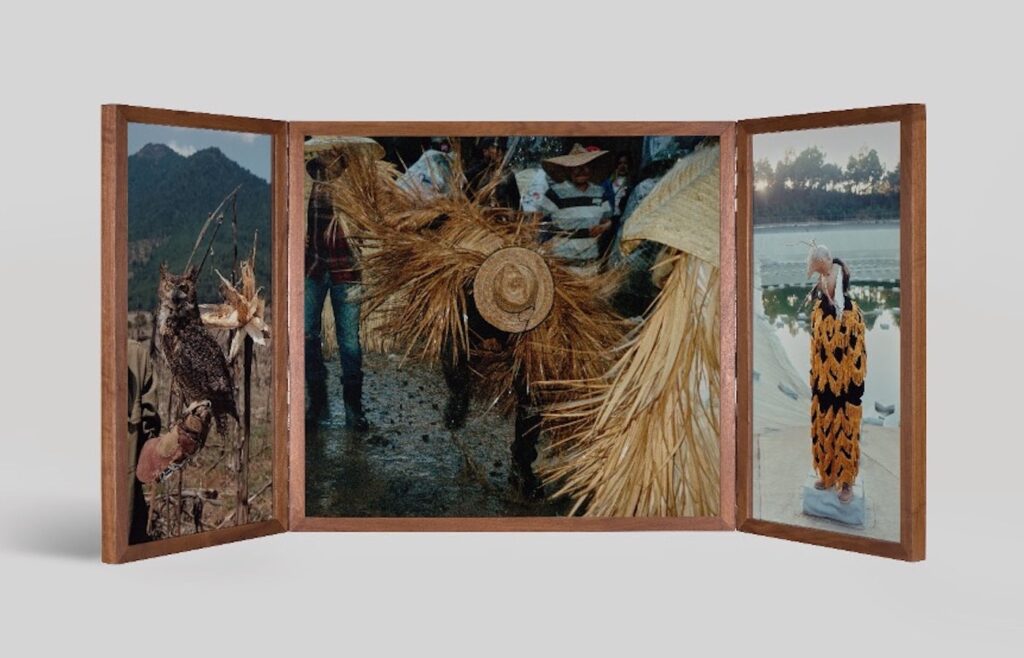 Oro Verde, collectif Ritual Inhabitual. Courtesy of The musée du quai Branly - Jacques Chirac