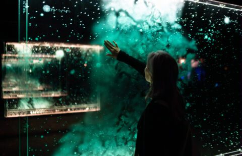 Spier light art, 2024. Berco Wilsenach Written in the star